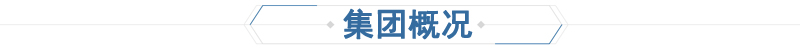 地（dì）坪施工（gōng）工程(圖12)